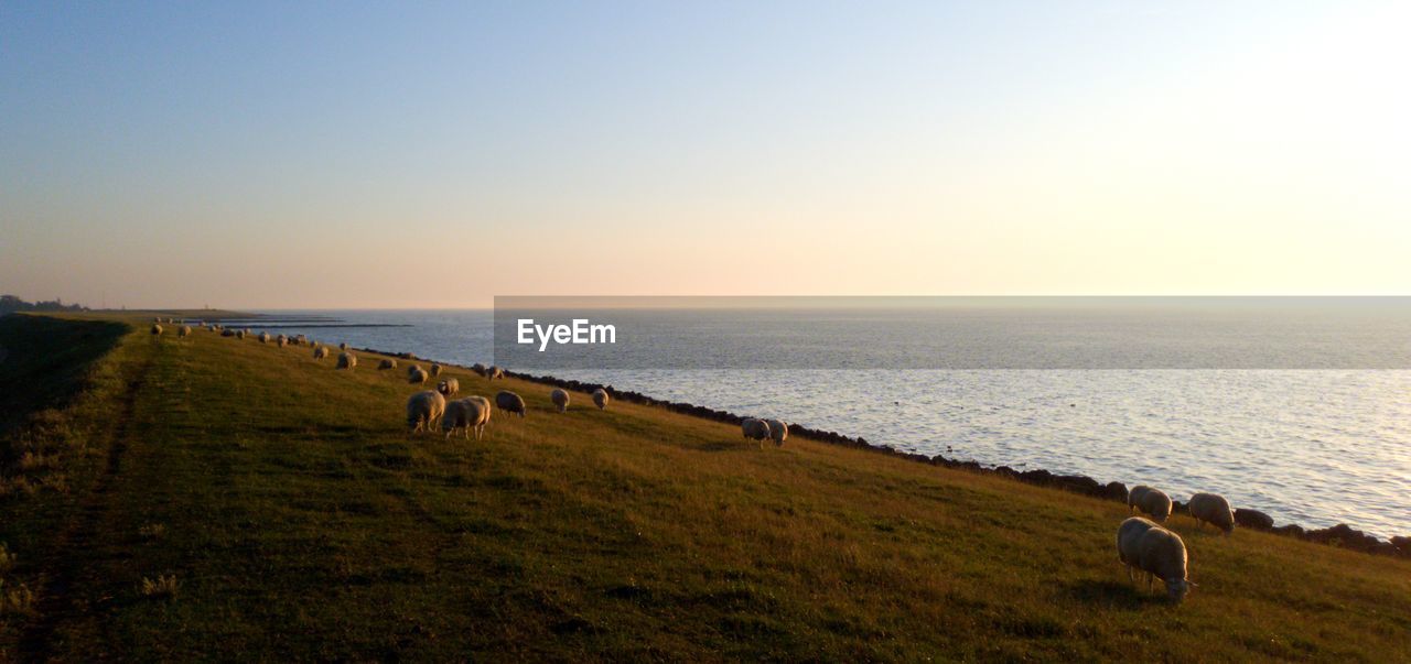 Scenic view of sea against clear sky