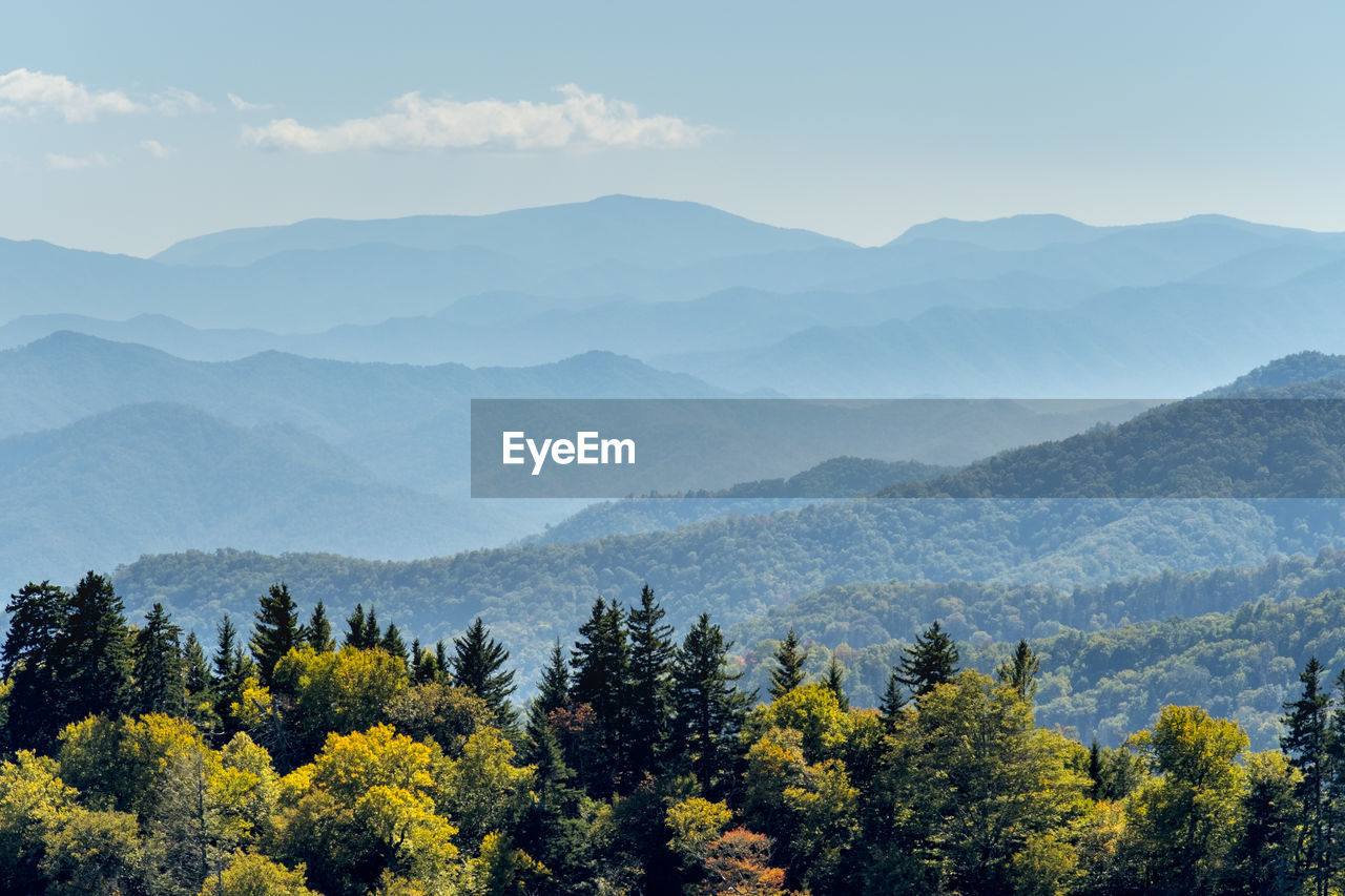 Smoky mountains national park, newfound gap, border of north carolina and tennessee, united states