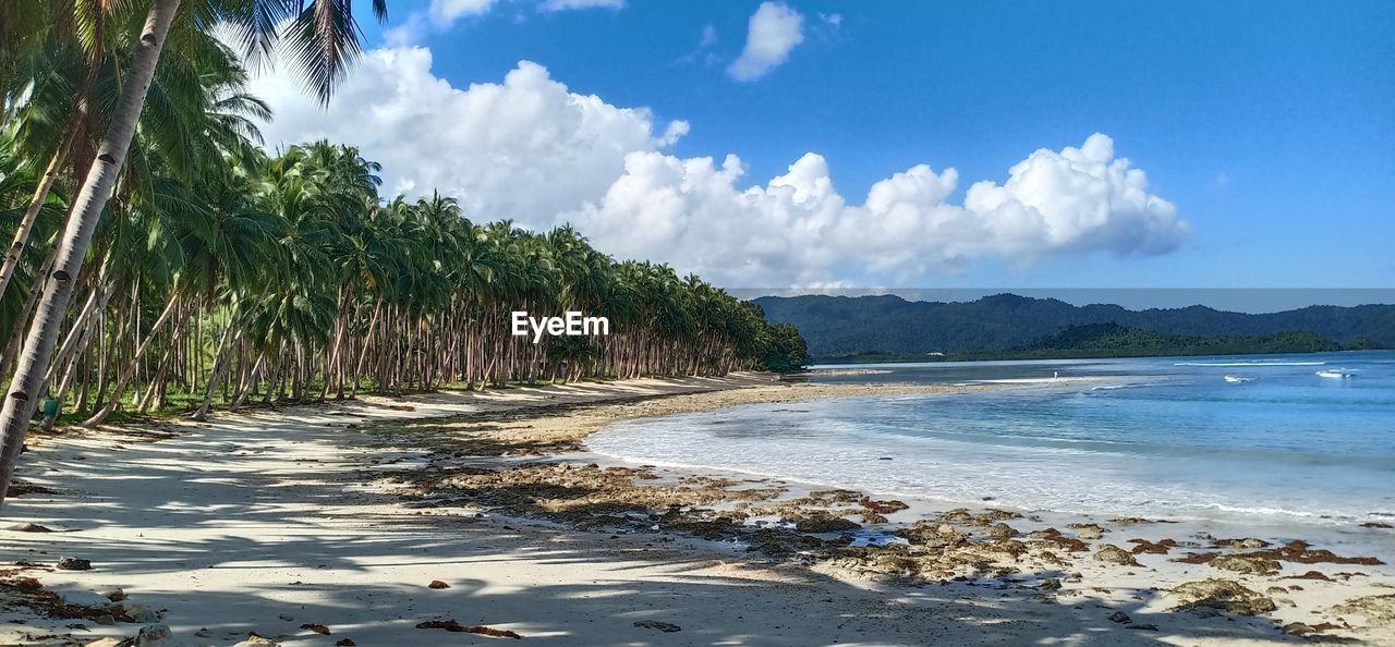 PANORAMIC VIEW OF BEACH AGAINST SKY