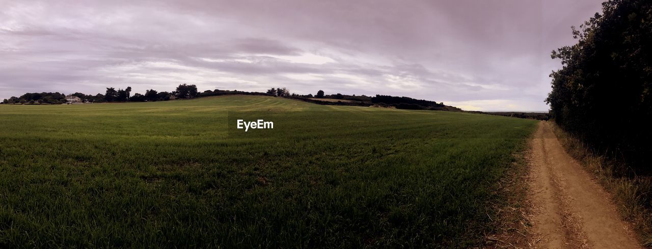 Scenic view of field against sky