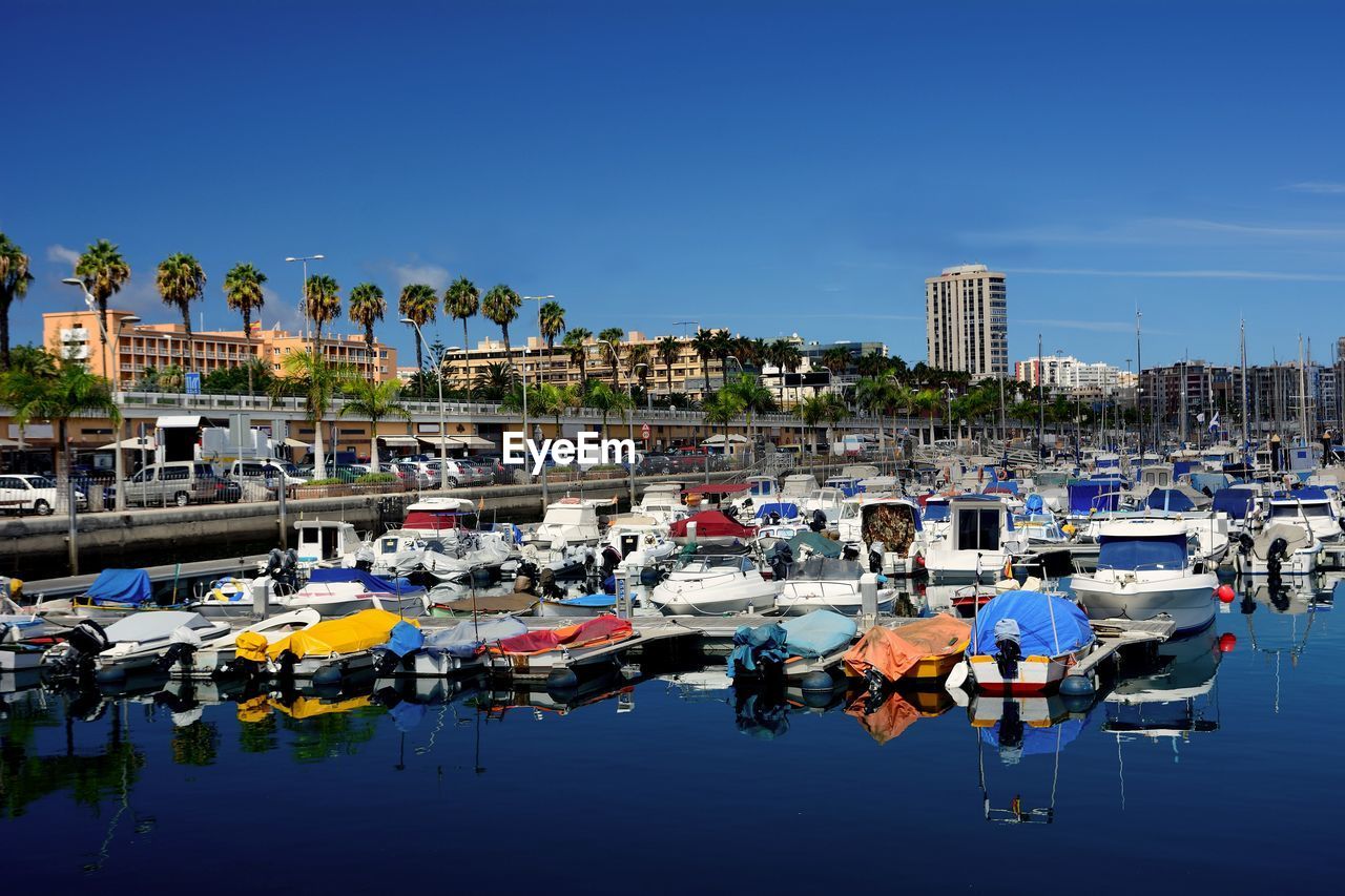 Boats moored at harbor against buildings in city