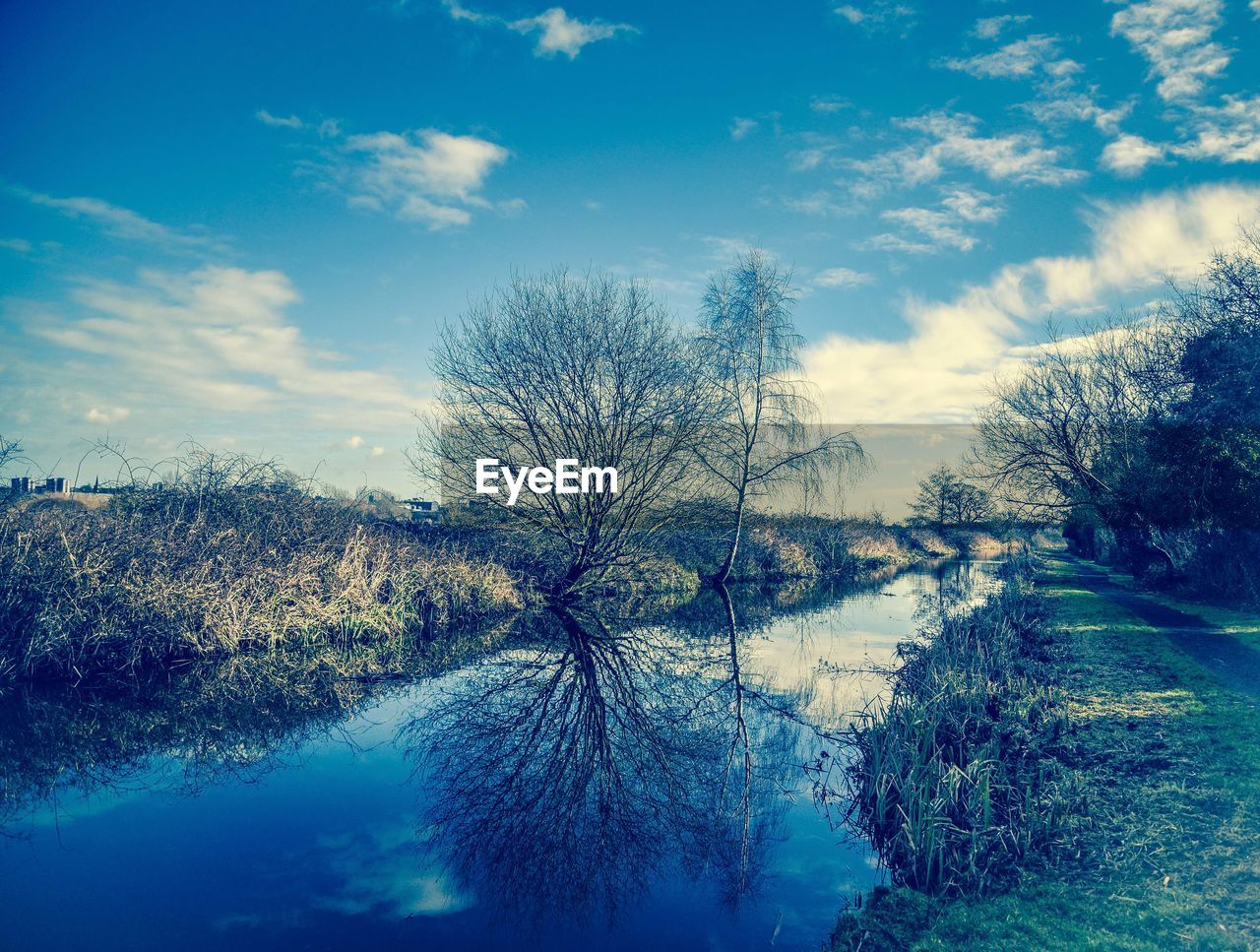 BARE TREES ON RIVERBANK AGAINST SKY