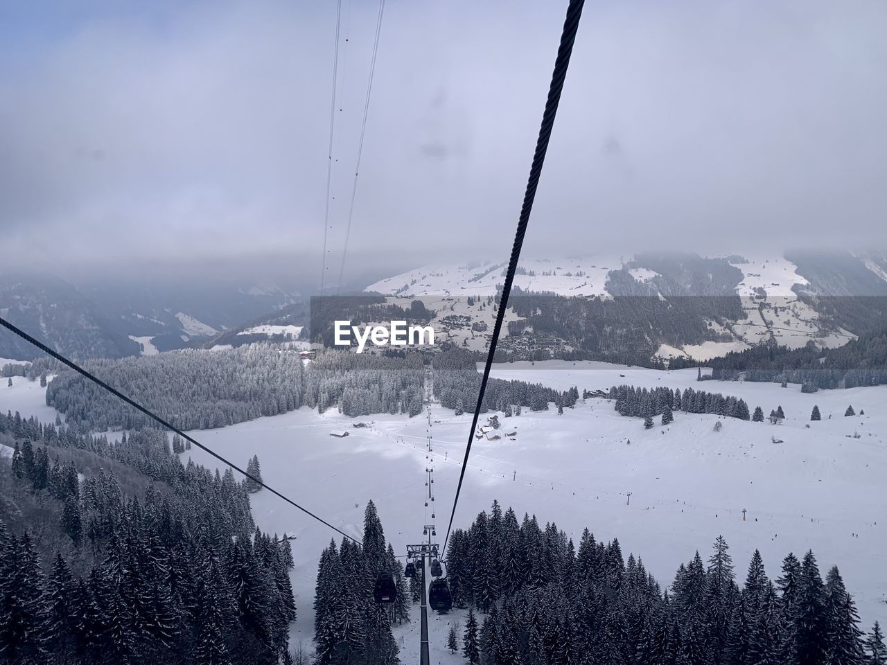 snow, mountain, winter, cold temperature, scenics - nature, beauty in nature, environment, sky, mountain range, nature, tree, landscape, tranquil scene, skiing, plant, cable car, tranquility, travel, forest, snowcapped mountain, cloud, land, travel destinations, ski equipment, pinaceae, overhead cable car, coniferous tree, ski lift, cable, vacation, ski, non-urban scene, day, holiday, tourism, trip, pine tree, outdoors, pine woodland, fog, idyllic, sports, winter sports, piste, architecture, transportation