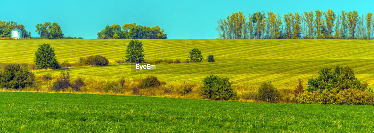 SCENIC VIEW OF FARM