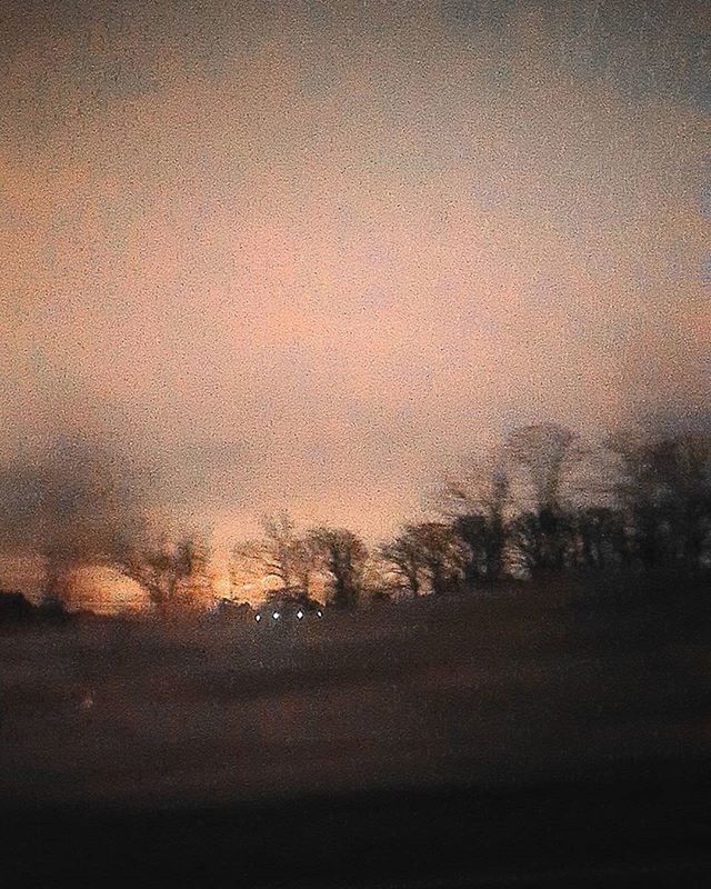 VIEW OF TREES AGAINST SKY