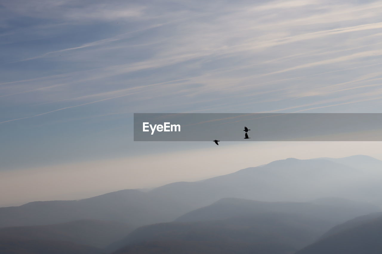 SILHOUETTE OF BIRDS FLYING OVER MOUNTAINS