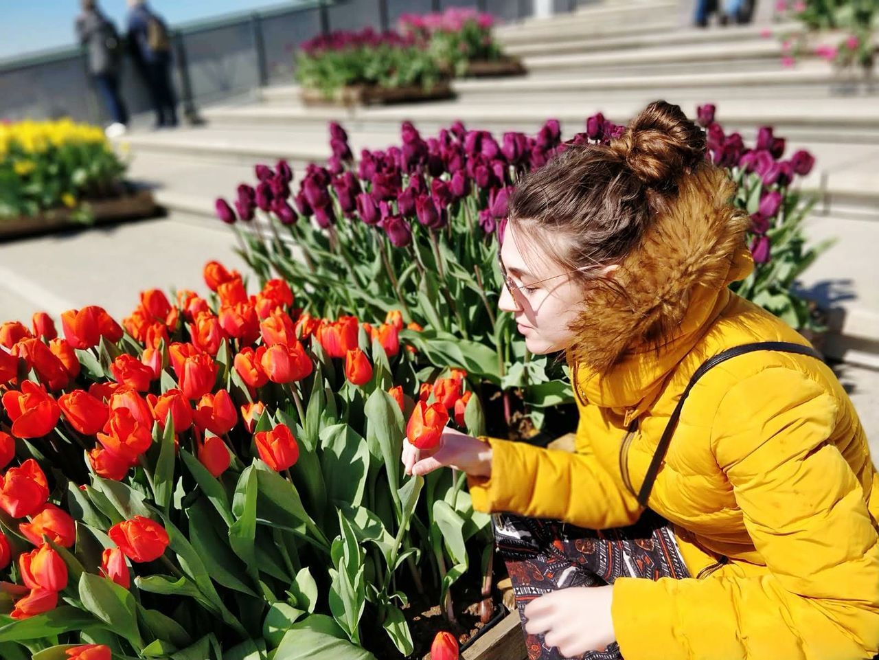 REAR VIEW OF WOMAN WITH YELLOW TULIPS IN BOUQUET OF RED FLOWERING PLANTS