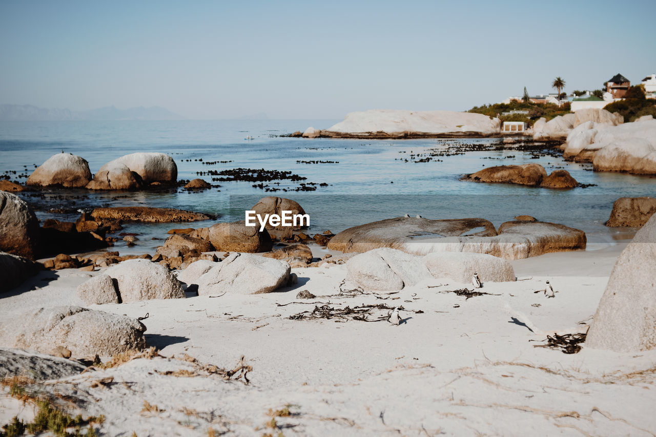 Scenic view of beach against clear sky on sunny day