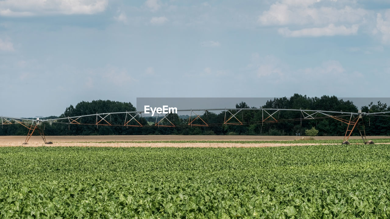 SCENIC VIEW OF FARM AGAINST SKY