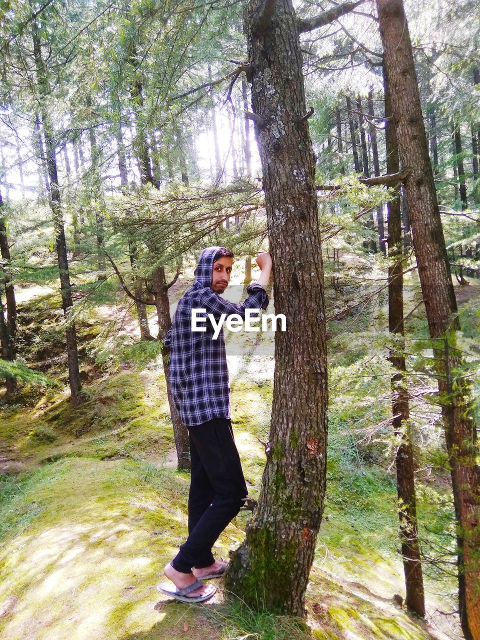 FULL LENGTH OF MAN STANDING IN FOREST