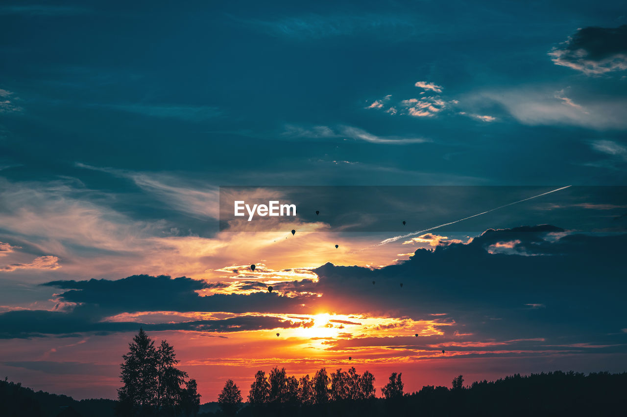 LOW ANGLE VIEW OF SILHOUETTE TREES AGAINST ORANGE SKY