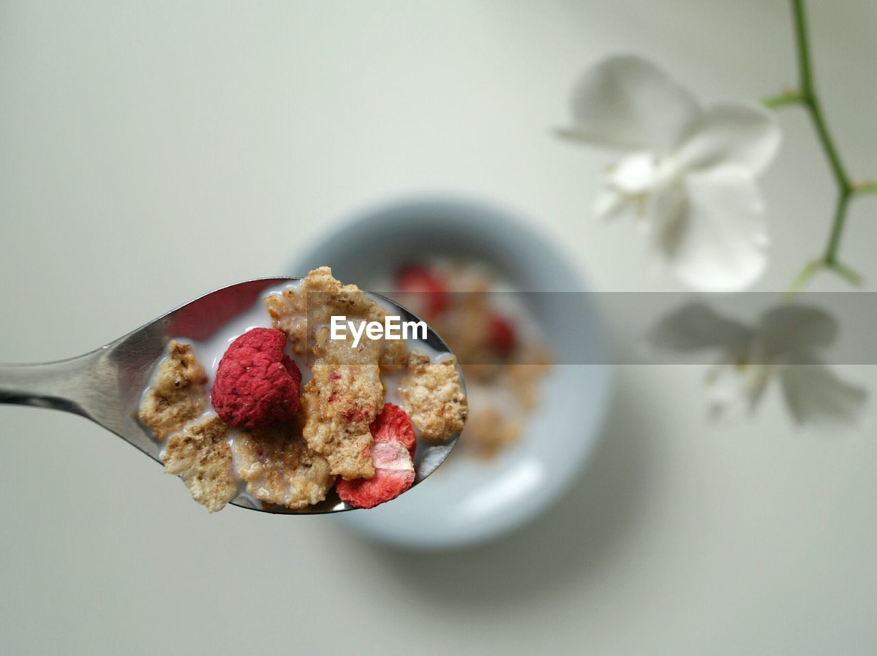Directly above shot of granola in spoon over table