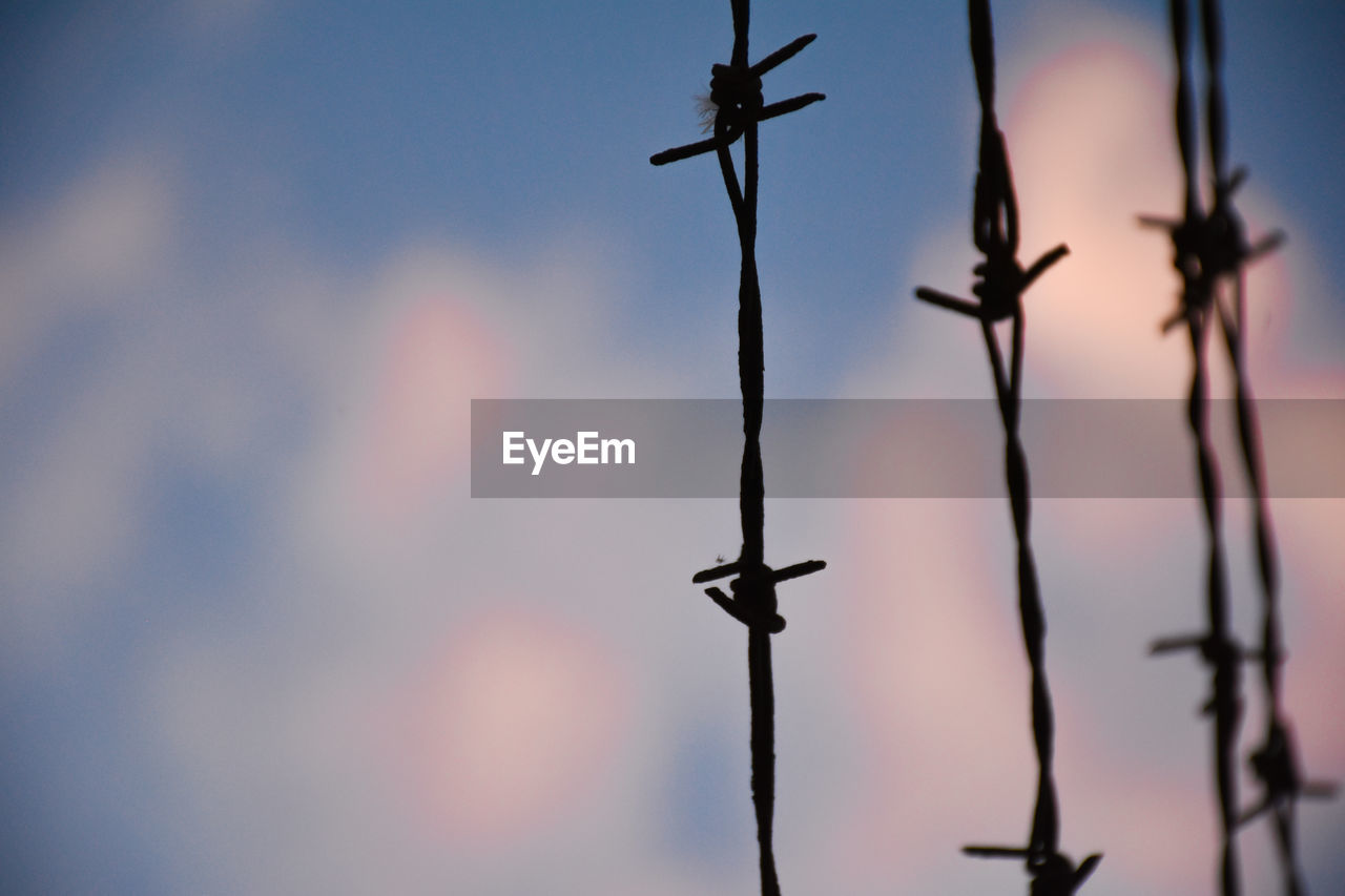 sky, nature, no people, wire fencing, blue, line, fence, silhouette, outdoors, focus on foreground, wire, metal, sunlight, branch, day