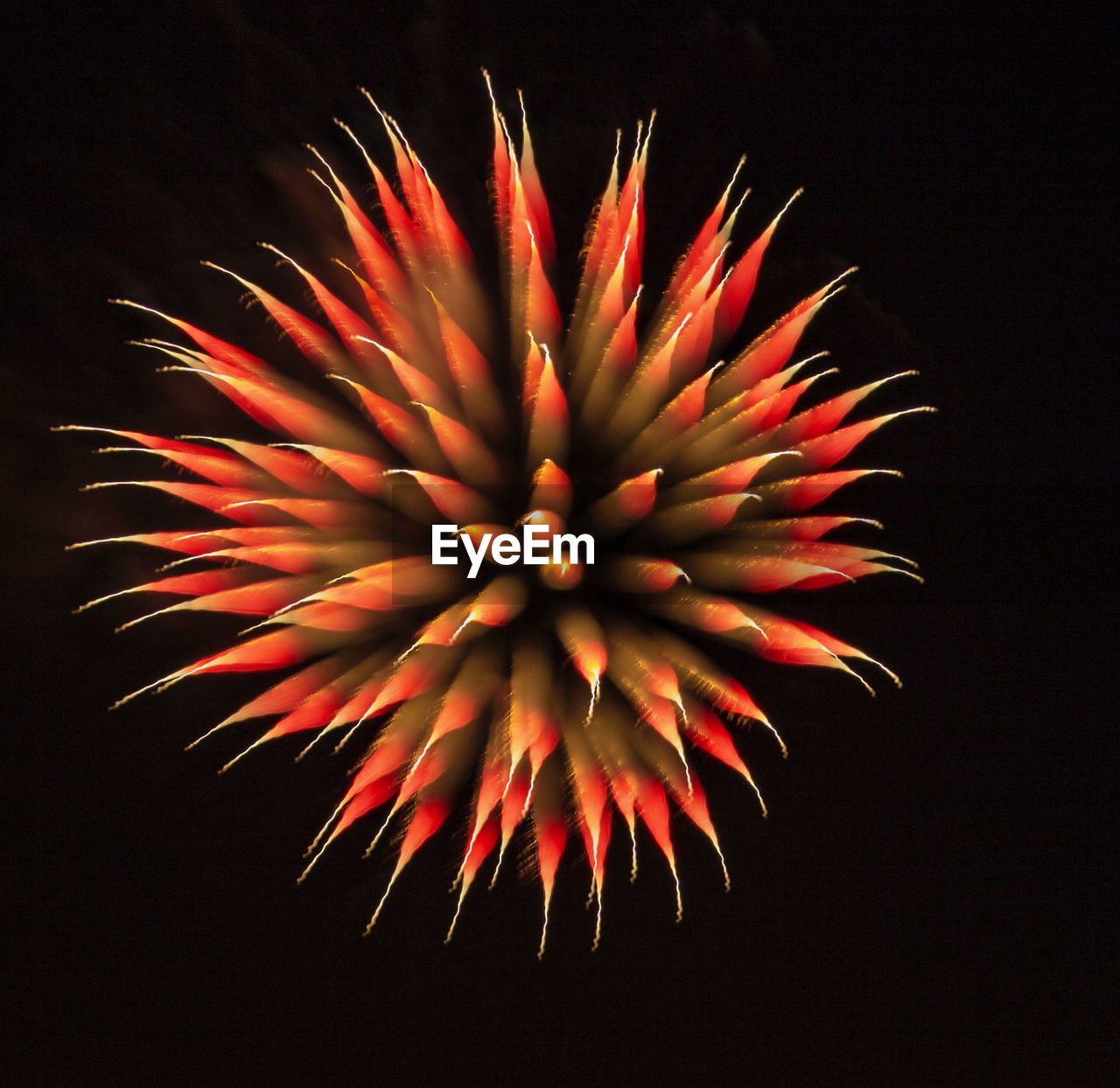 LOW ANGLE VIEW OF FIREWORK DISPLAY AT NIGHT