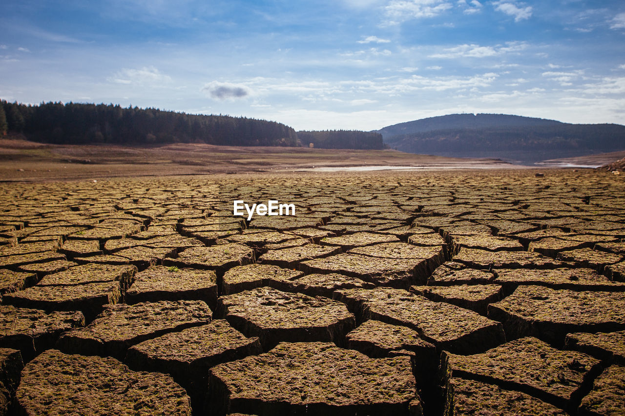 SCENIC VIEW OF LAND