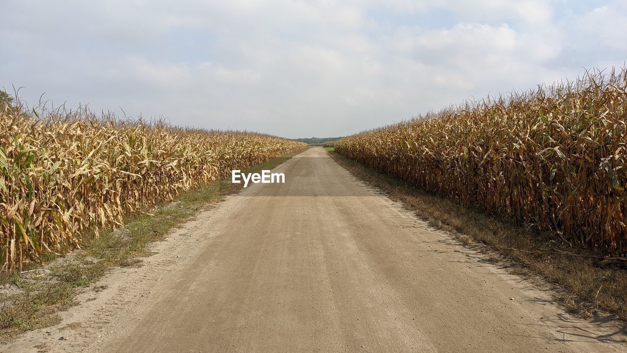 EMPTY ROAD AMIDST AGRICULTURAL FIELD