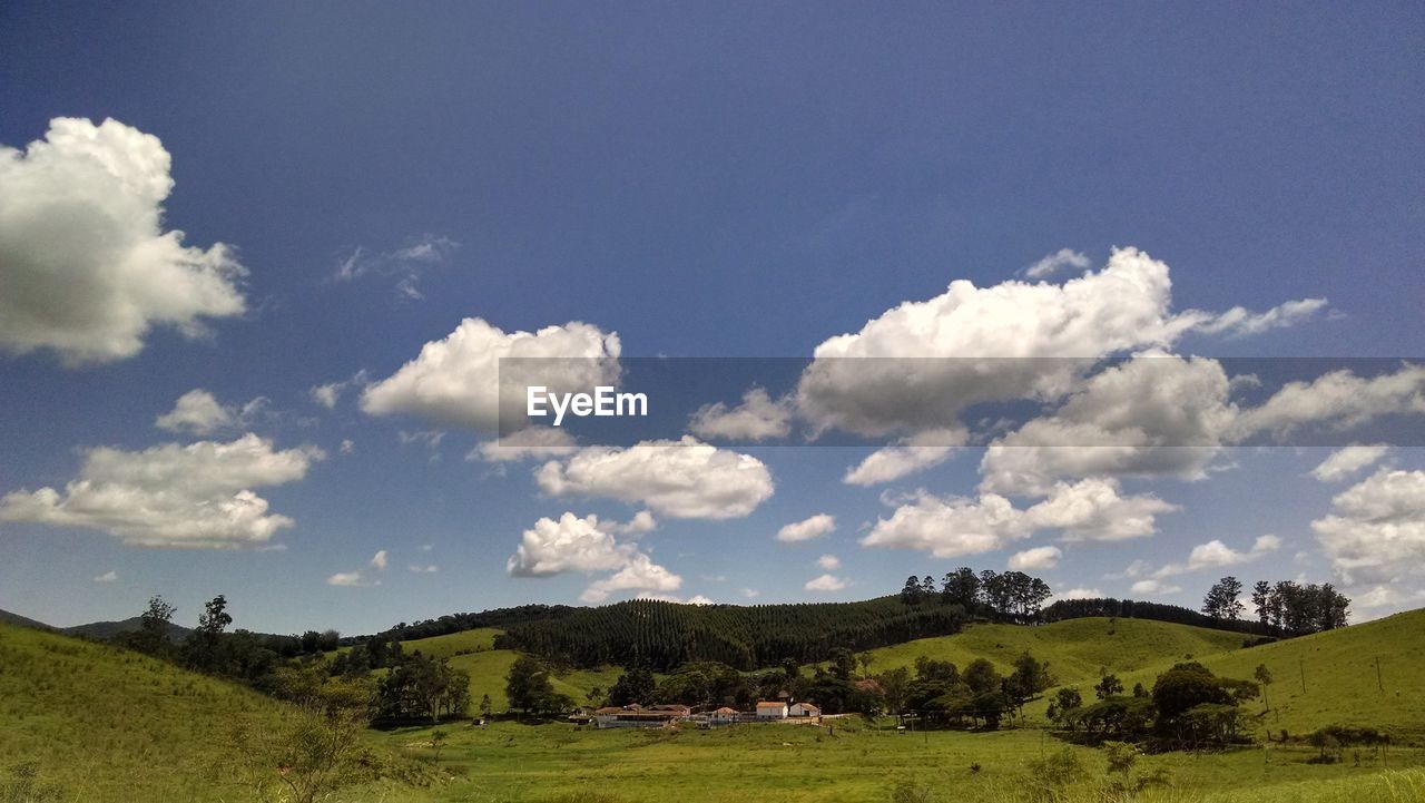 SCENIC VIEW OF TREES ON FIELD AGAINST SKY