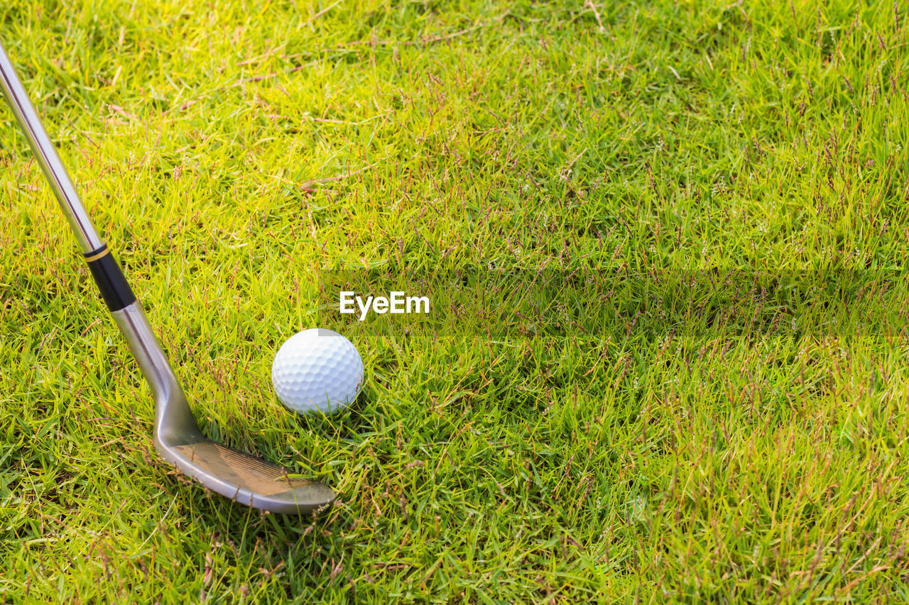 HIGH ANGLE VIEW OF BALL ON GRASSLAND