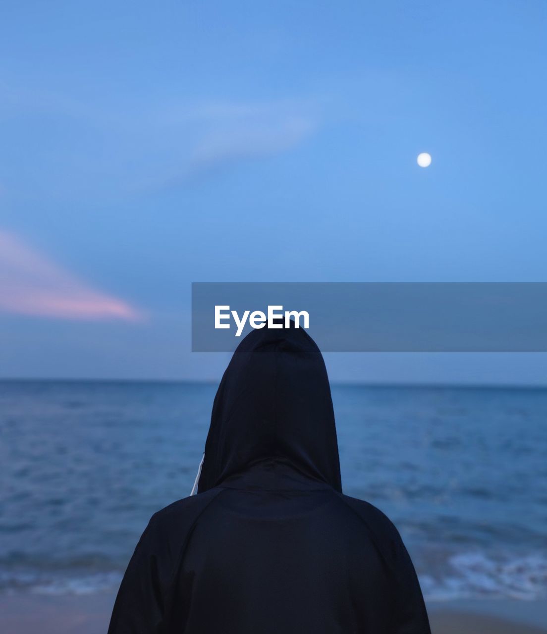 Rear view of man on sea shore against sky