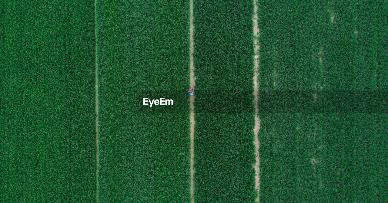 Aerial view of agricultural field