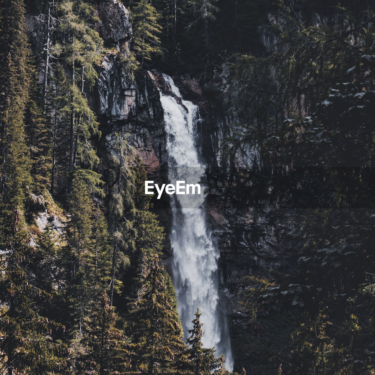 Scenic view of waterfall in forest