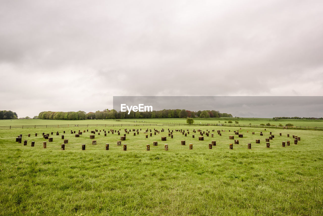 SCENIC VIEW OF LAND AGAINST SKY