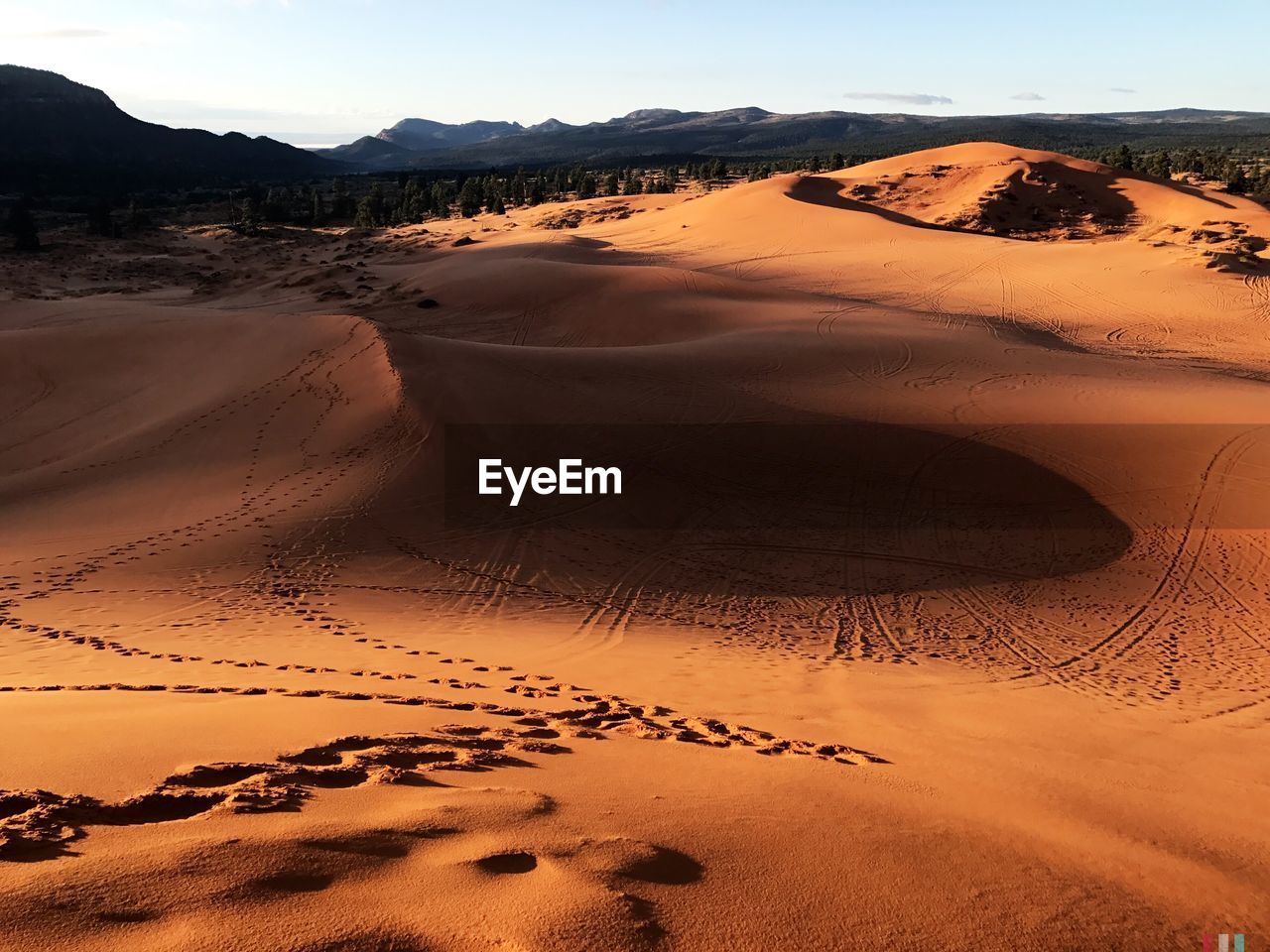 Scenic view of desert against clear sky