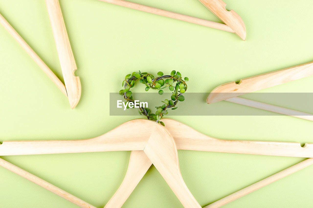 HIGH ANGLE VIEW OF FRESH GREEN PLANT ON TABLE