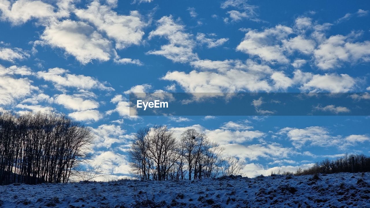 sky, snow, tree, winter, cloud, cold temperature, plant, scenics - nature, beauty in nature, environment, landscape, nature, tranquility, tranquil scene, mountain, blue, land, no people, white, non-urban scene, day, frost, forest, sunlight, pine tree, frozen, pinaceae, coniferous tree, outdoors, freezing, idyllic, field, pine woodland, mountain range, woodland, remote