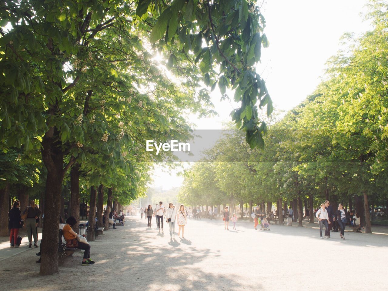 PEOPLE WALKING IN PARK