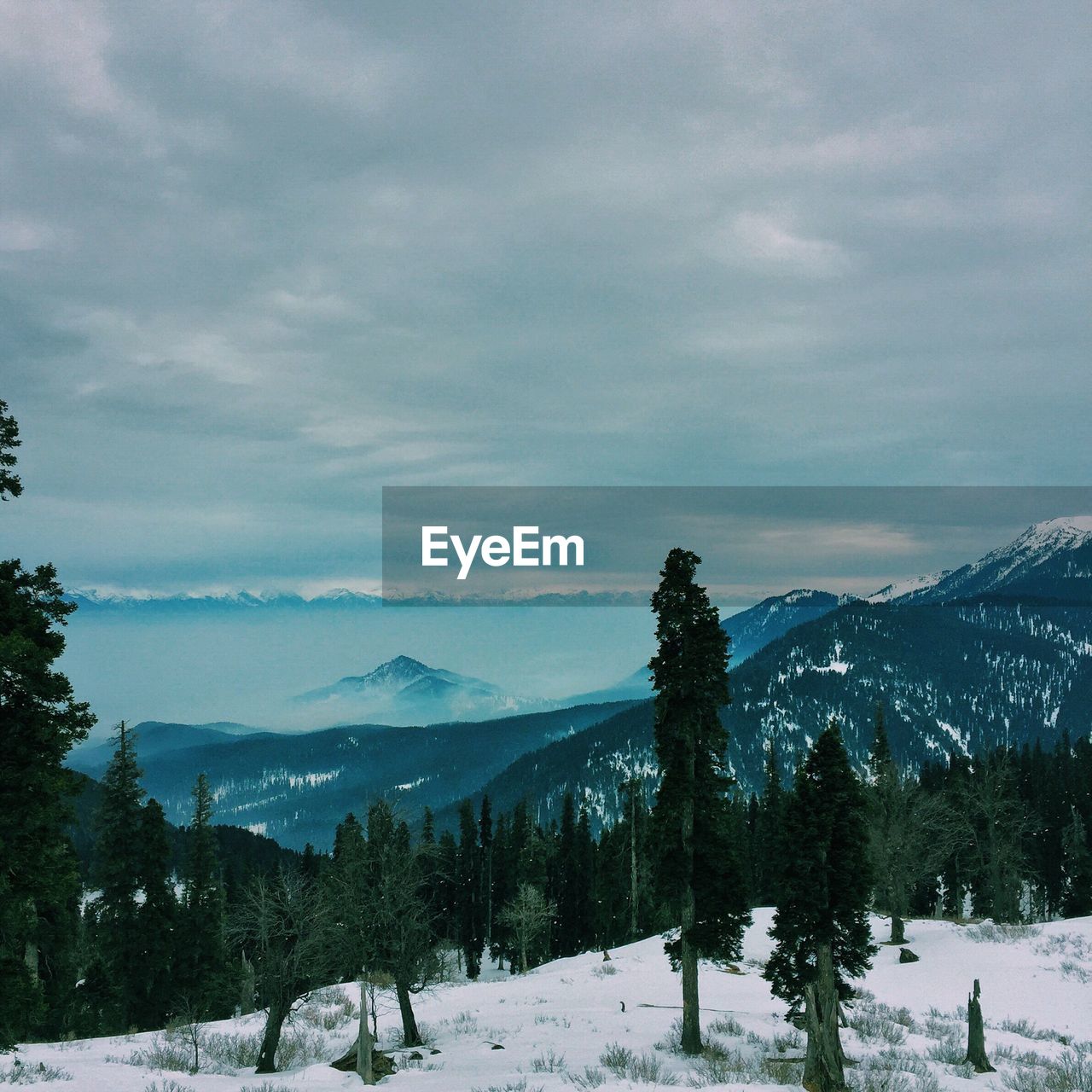 SNOW COVERED LANDSCAPE