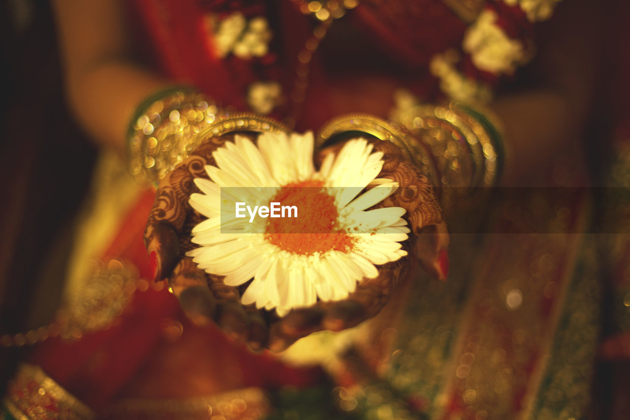 Close-up of bride holding flower during wedding