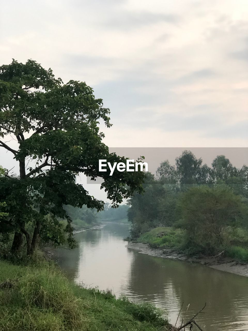 SCENIC VIEW OF LAKE AND TREES AGAINST SKY