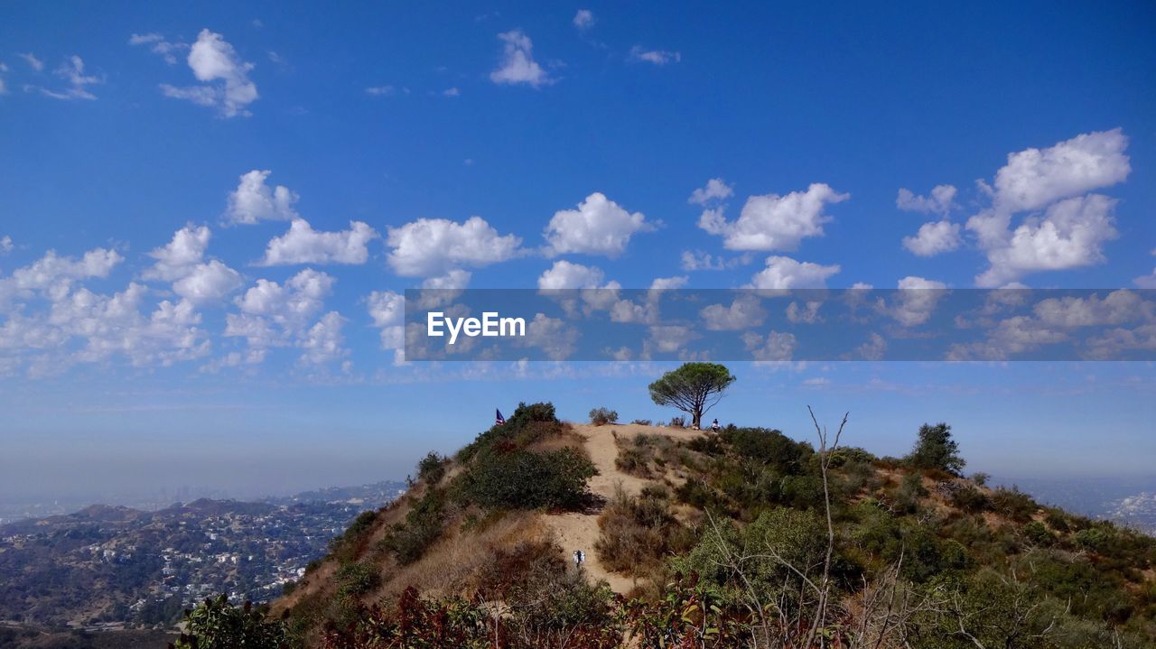 Scenic view of landscape against blue sky