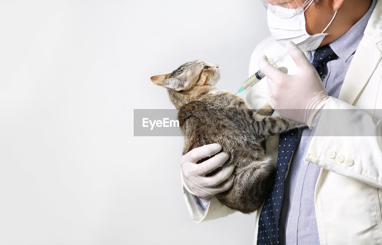 Midsection of veteran injecting cat against white background
