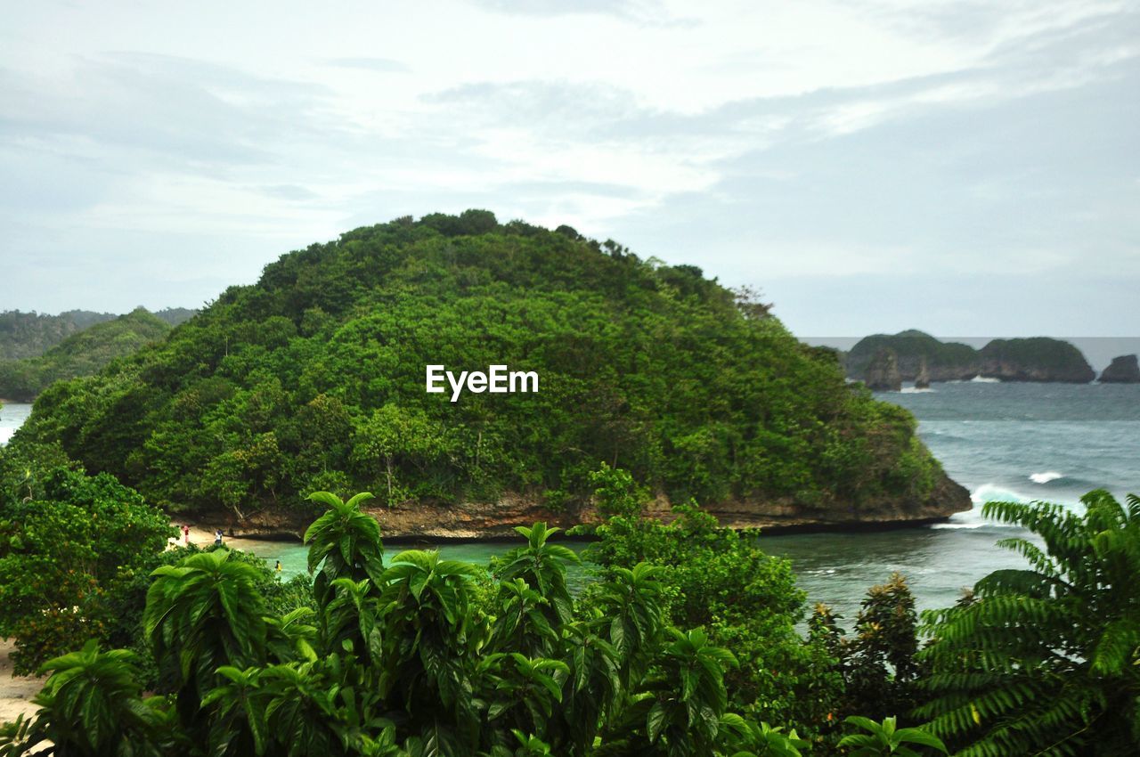 SCENIC VIEW OF TREES BY SEA AGAINST SKY