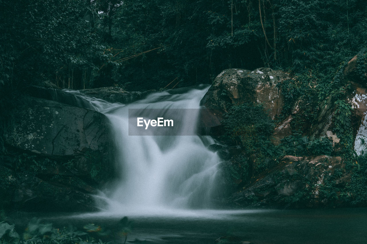 Scenic view of waterfall in forest