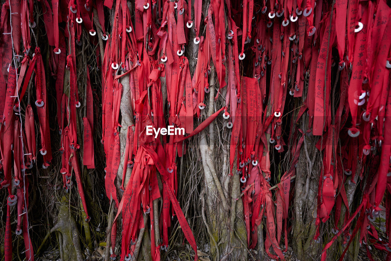 FULL FRAME SHOT OF RED DECORATION HANGING ON WOOD