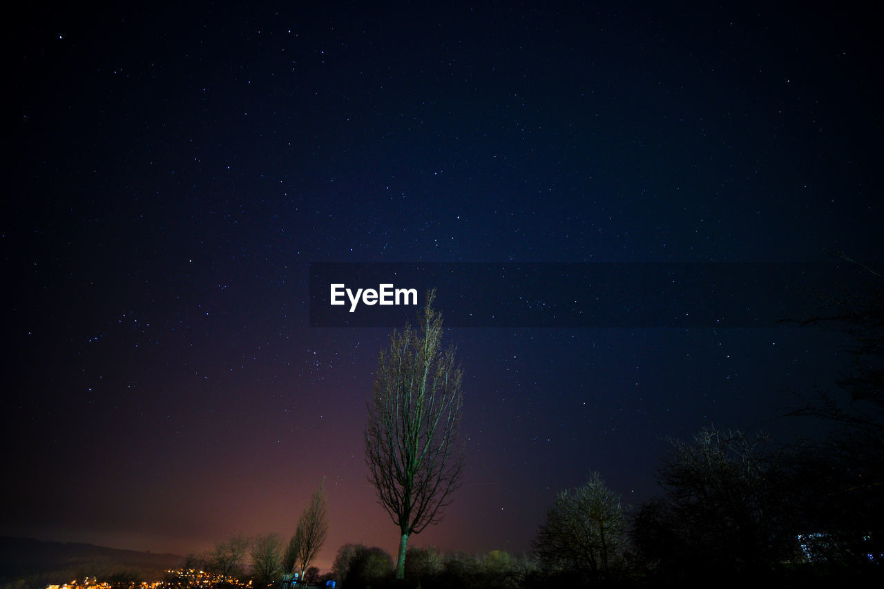 Low angle view of silhouette trees against sky at night