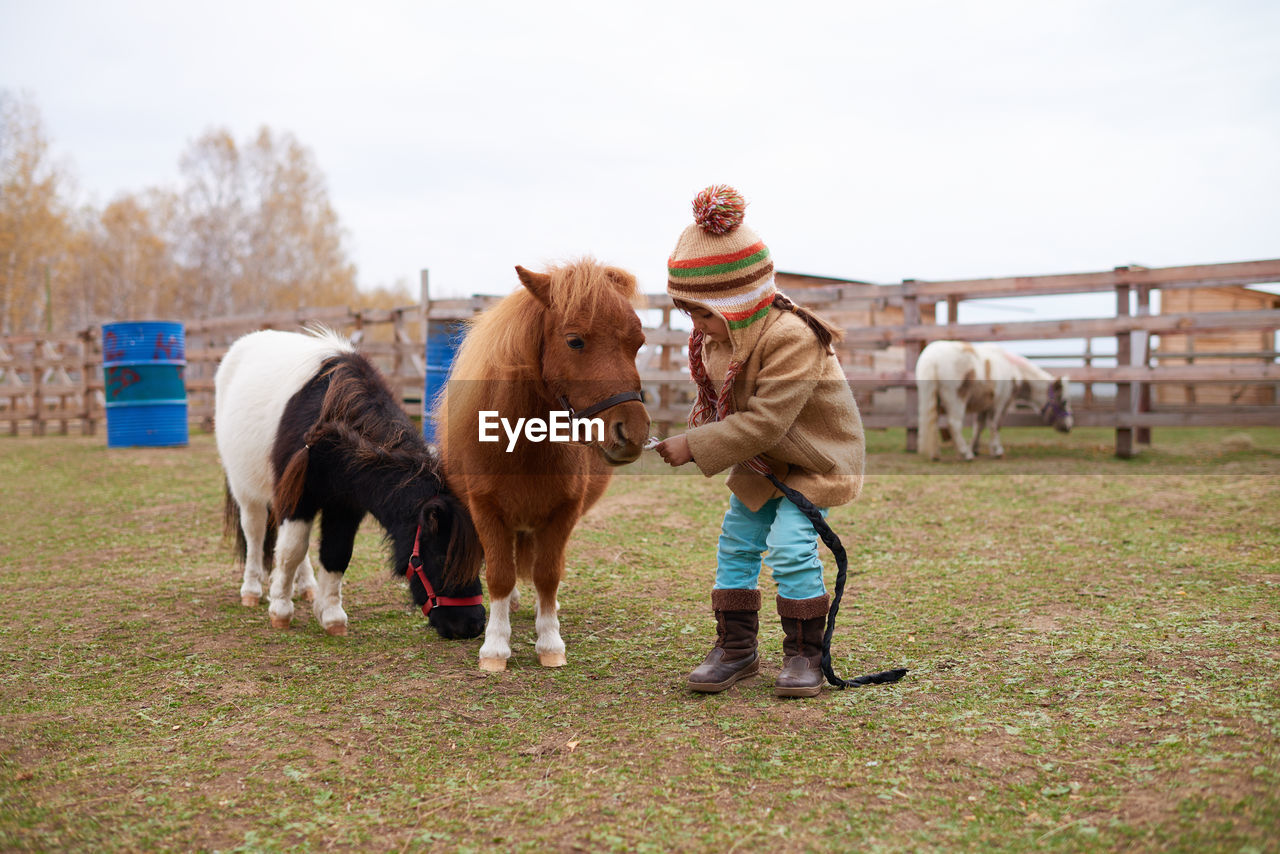 Girl walking with cute little ponies