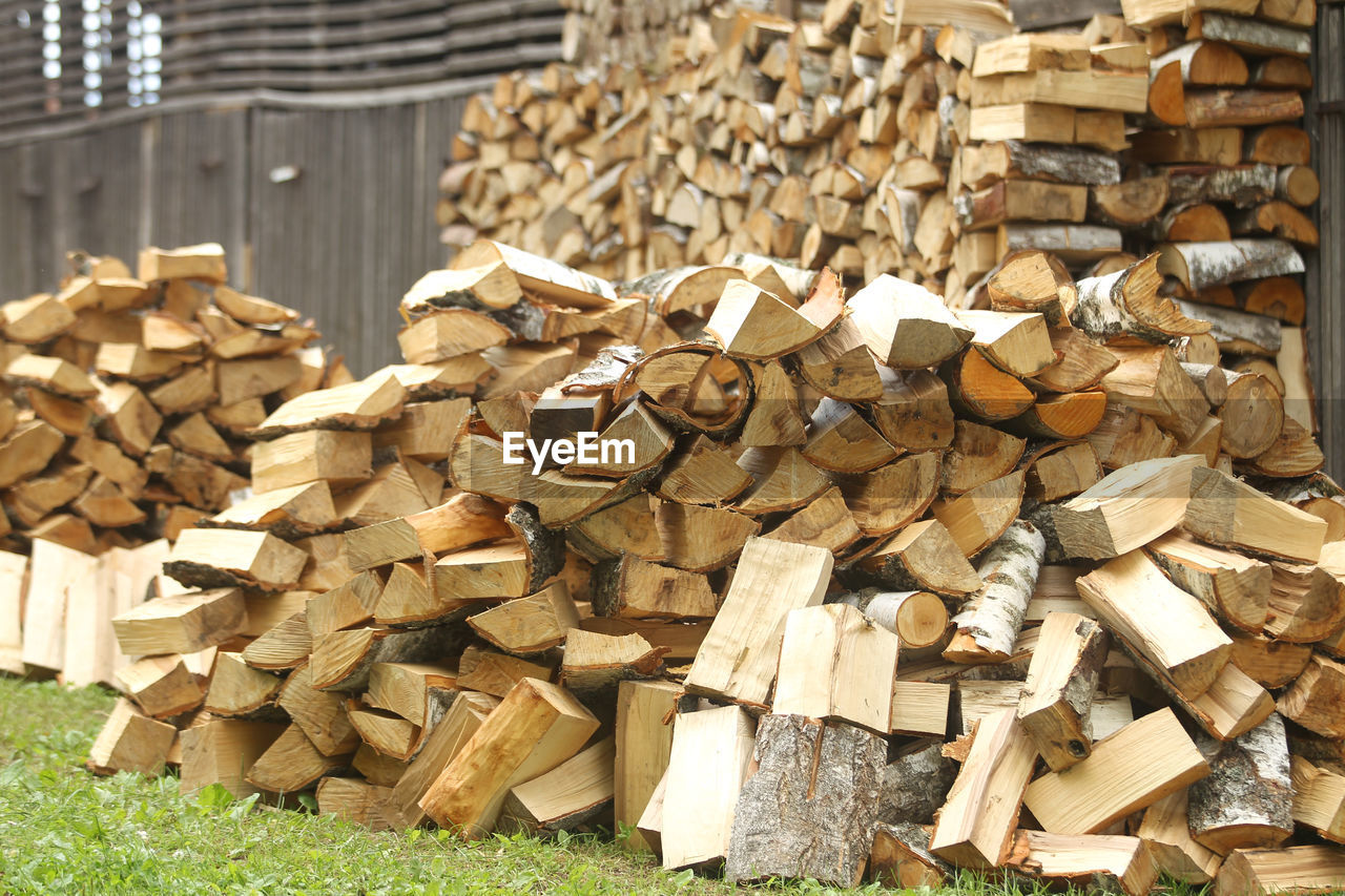 STACK OF LOGS IN A FOREST