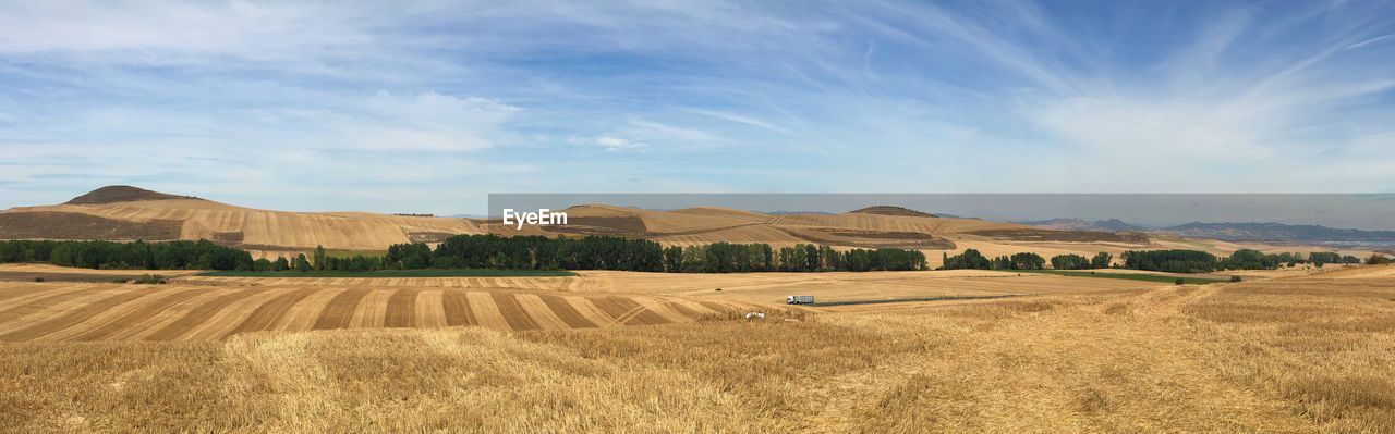 Hiking through the harvest on the camino in spain 