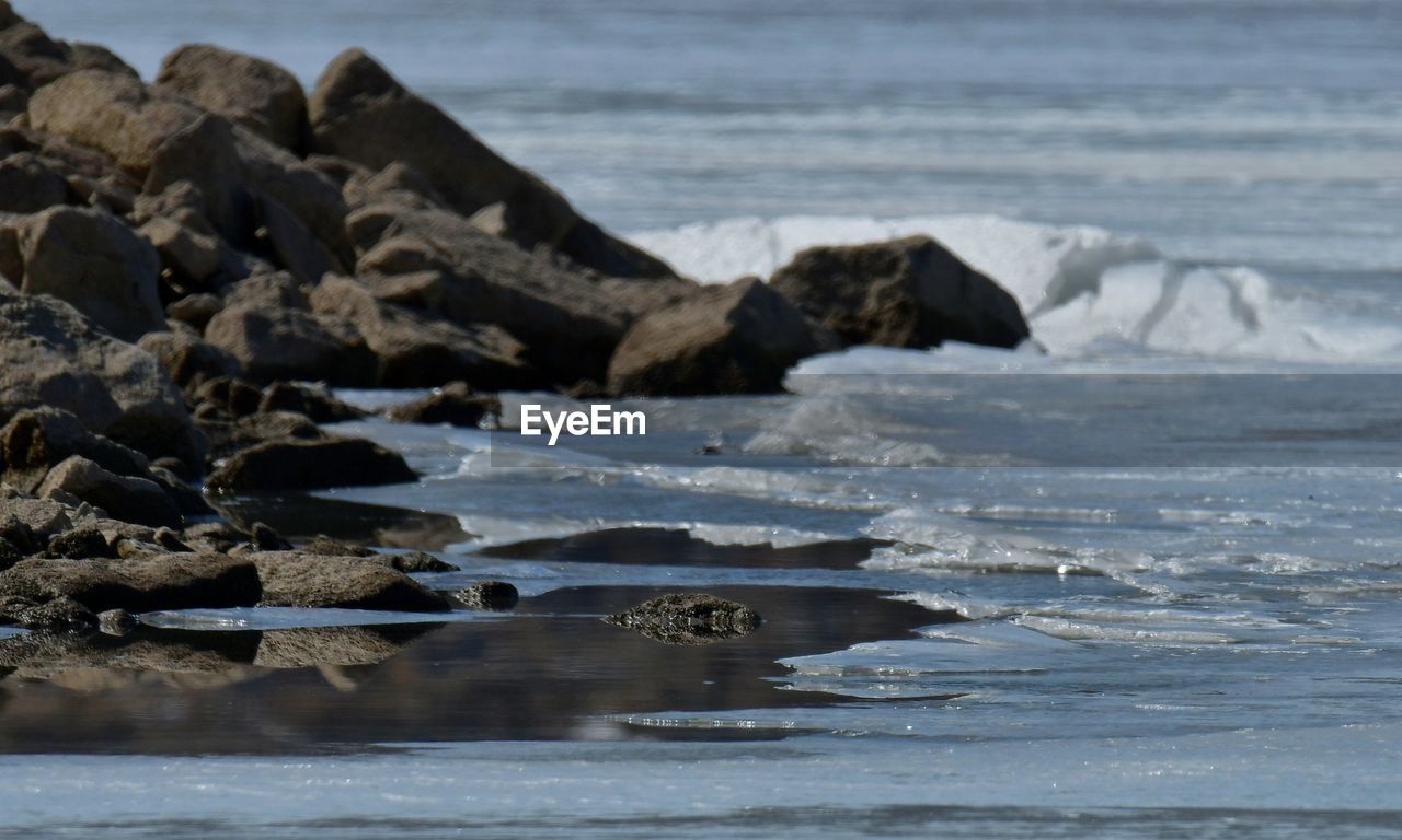 water, sea, shore, coast, ocean, wave, beach, rock, land, nature, wind wave, no people, beauty in nature, motion, scenics - nature, wildlife, animal, outdoors, animal wildlife, animal themes, body of water, environment, mammal, day, sand, coastline, bay, winter, ice, tranquility