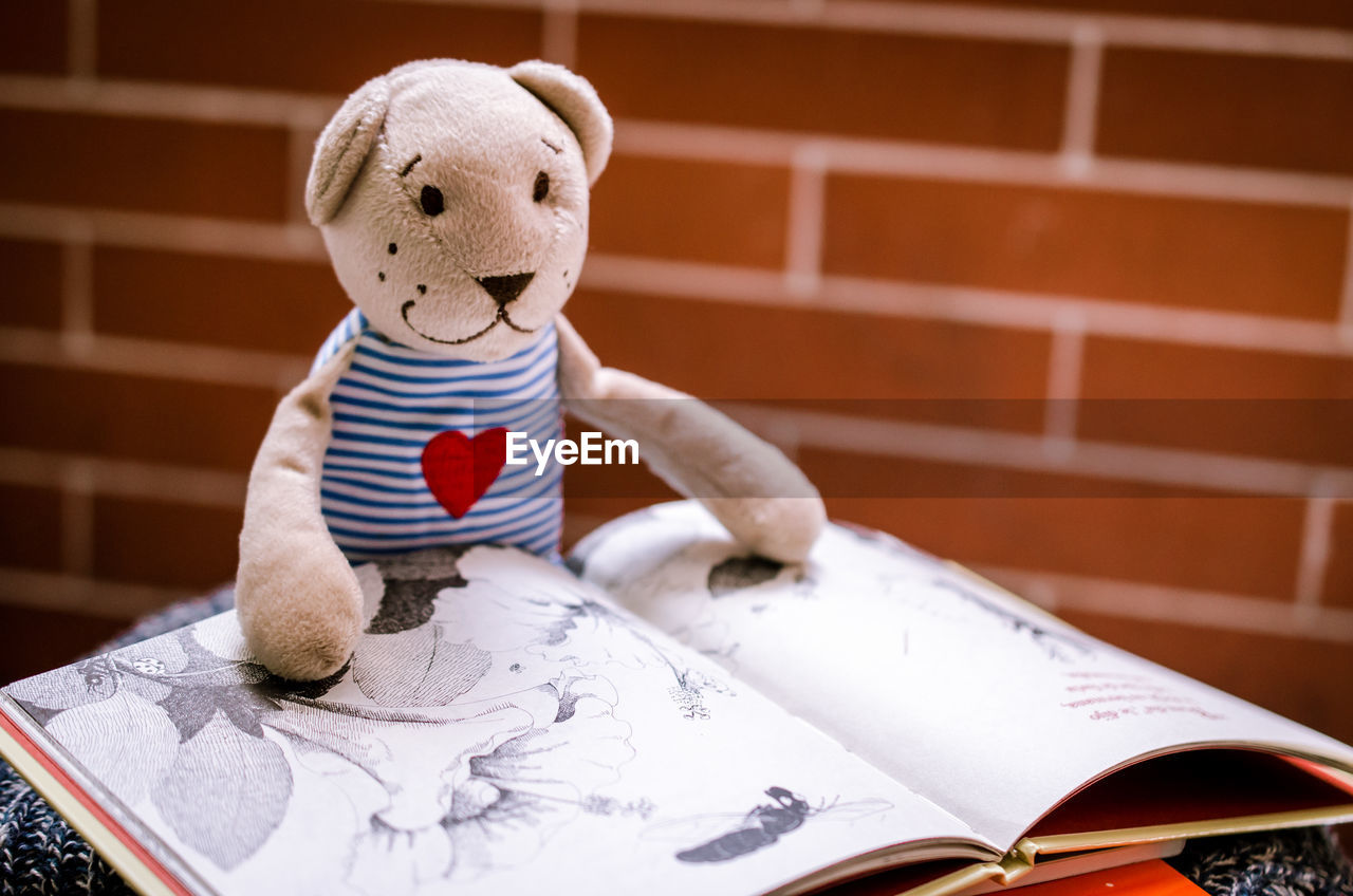 TOY ON BOOK
