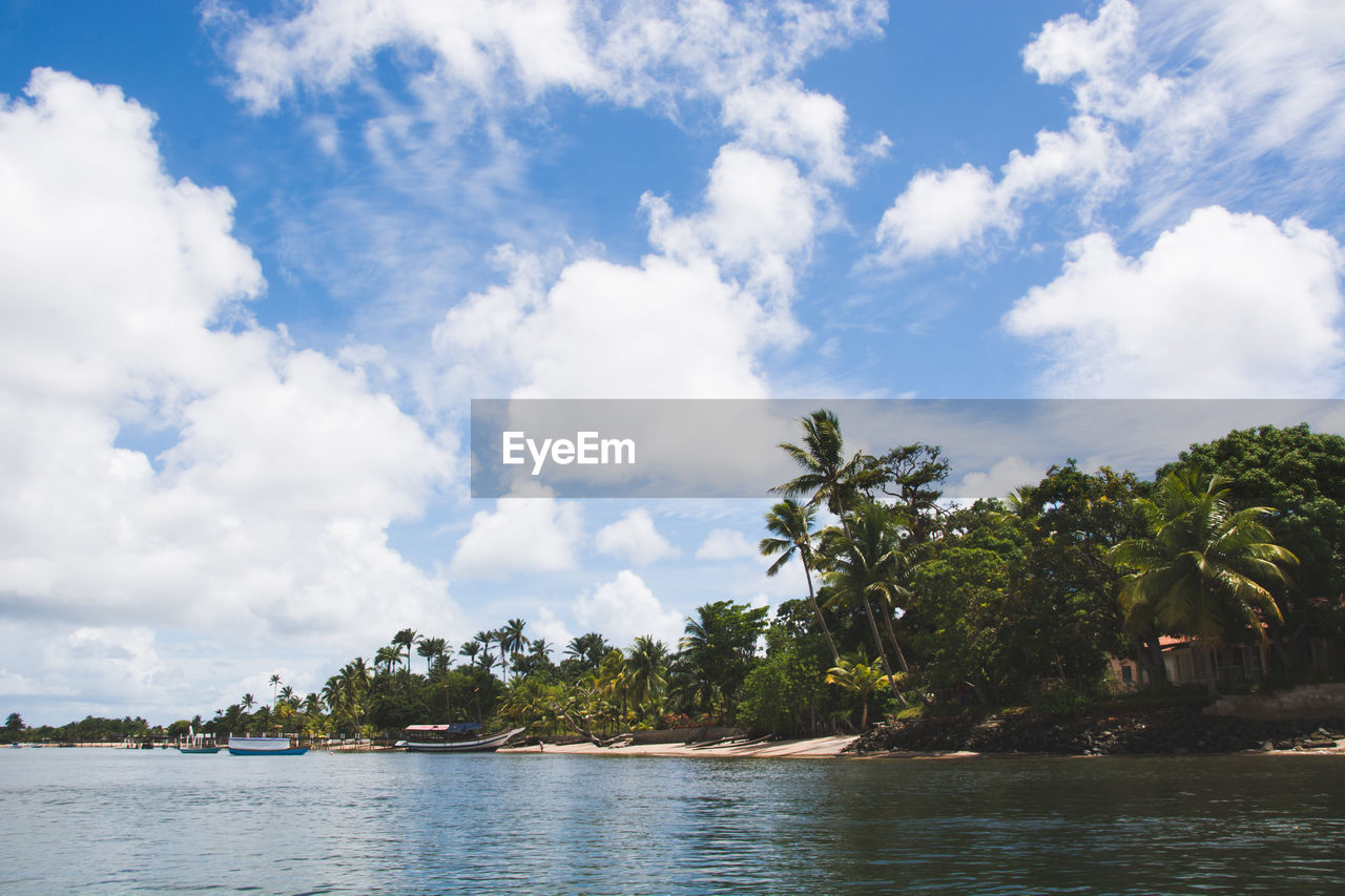 SCENIC VIEW OF PALM TREES ON SEA AGAINST SKY