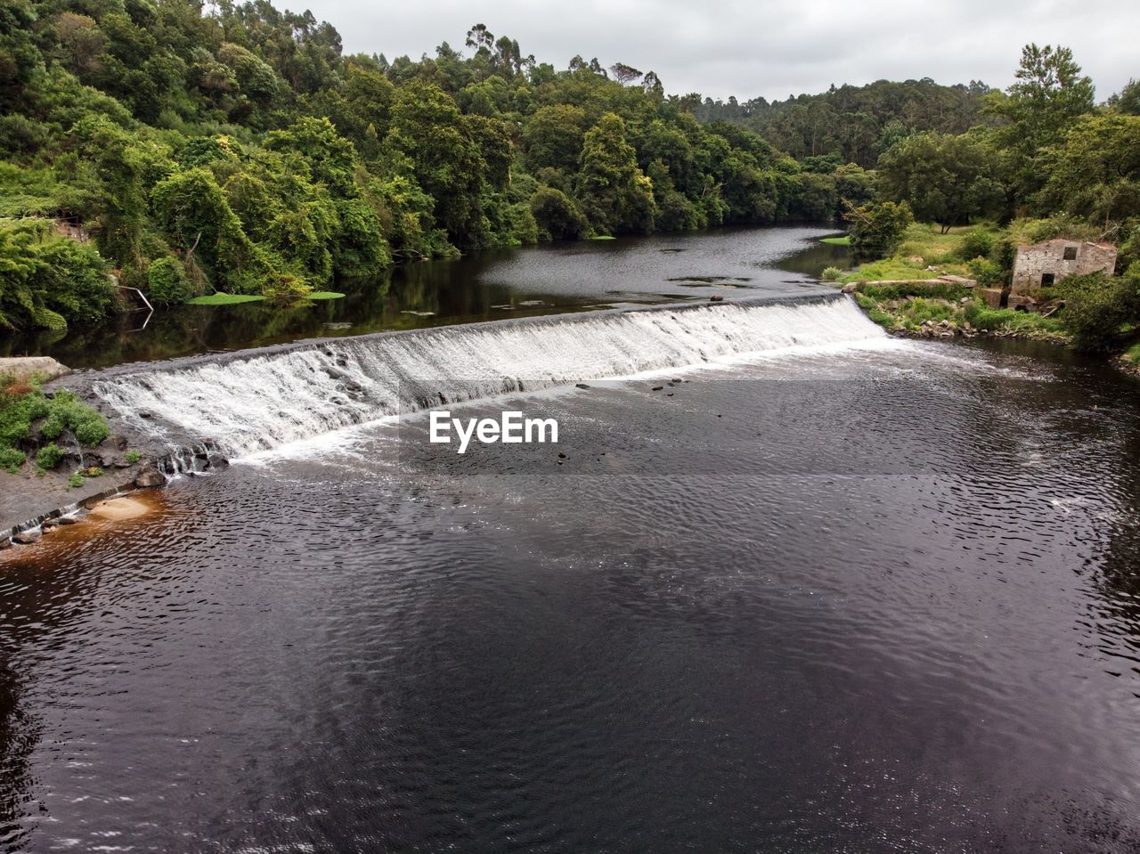 SCENIC VIEW OF RIVER AMIDST TREES IN FOREST