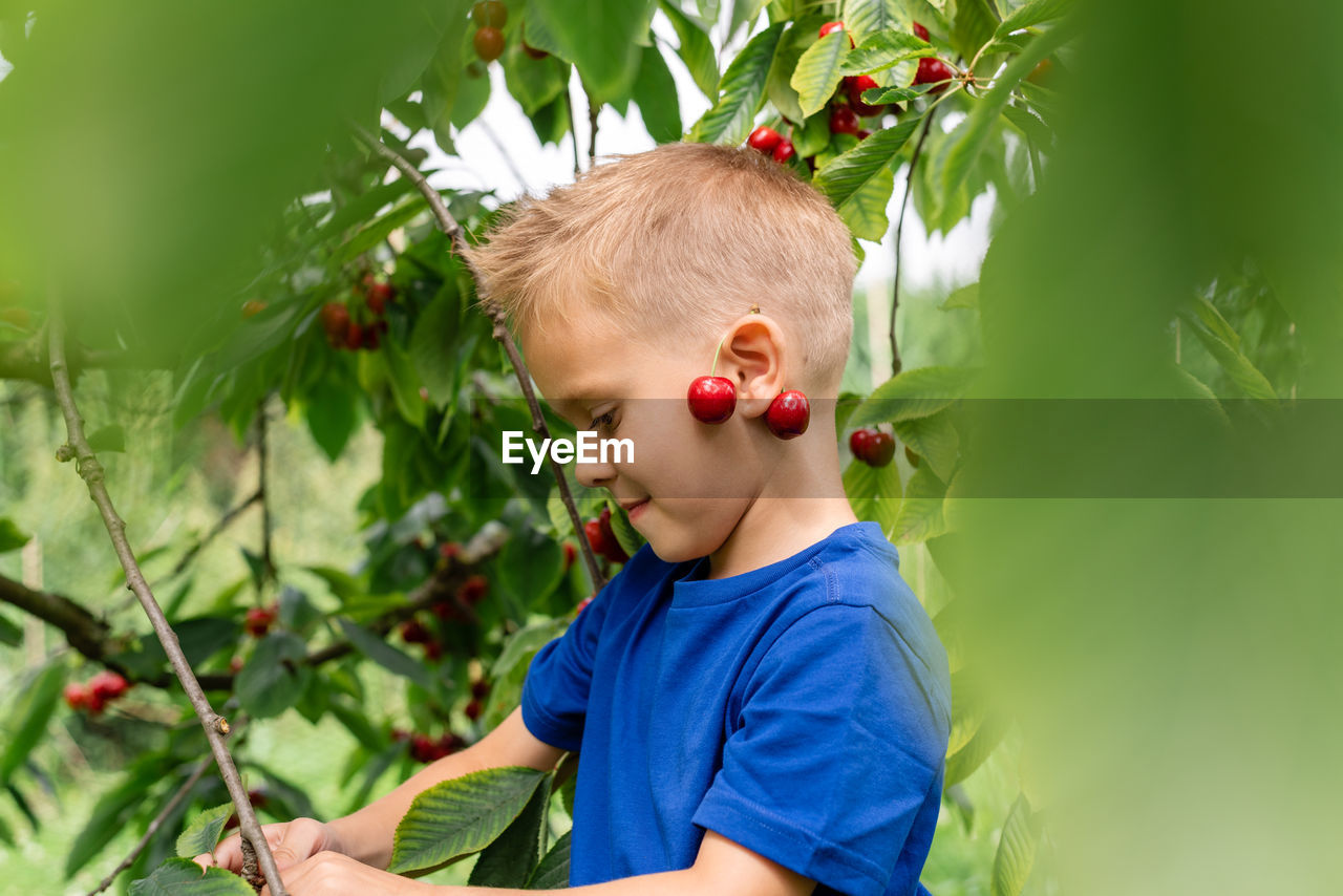 Candid portrait of a boy in the orchard during cherries harvesting.