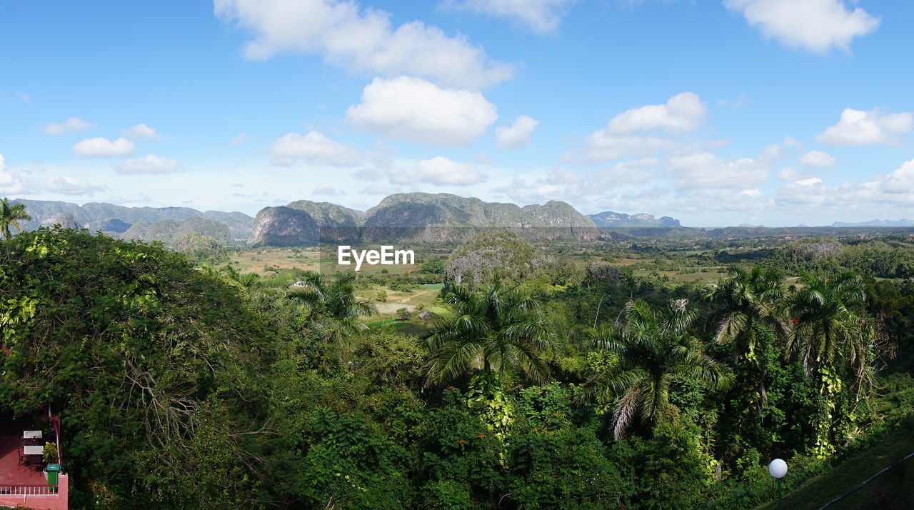 SCENIC VIEW OF LAND AGAINST SKY