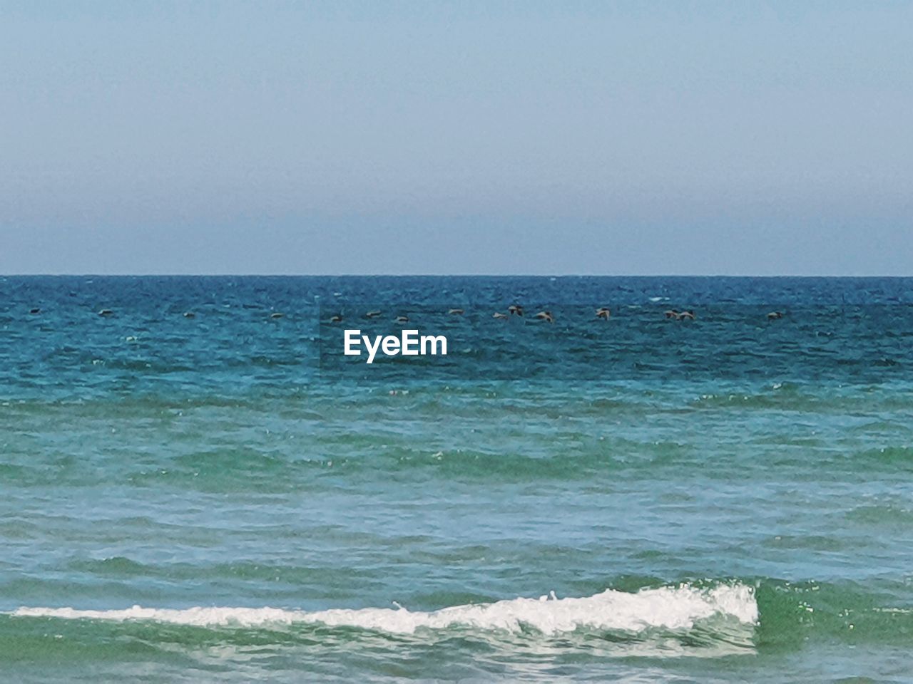 sea, water, wind wave, body of water, sky, shore, wave, beauty in nature, ocean, horizon over water, horizon, scenics - nature, land, motion, beach, nature, coast, no people, sports, blue, day, tranquility, clear sky, outdoors, environment, travel, idyllic, tranquil scene, travel destinations, water sports, sunny, seascape, tourism
