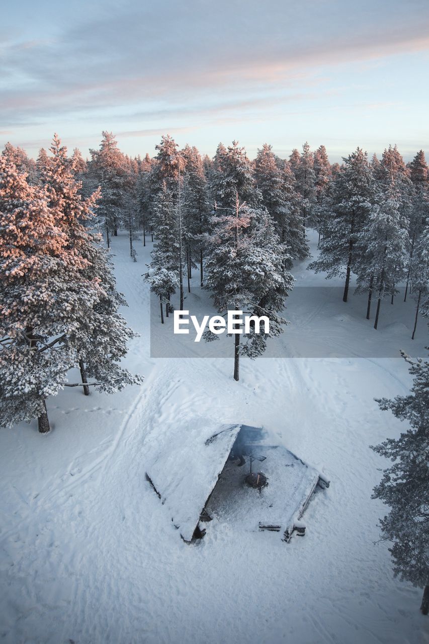 SNOW COVERED TREES ON FIELD AGAINST SKY